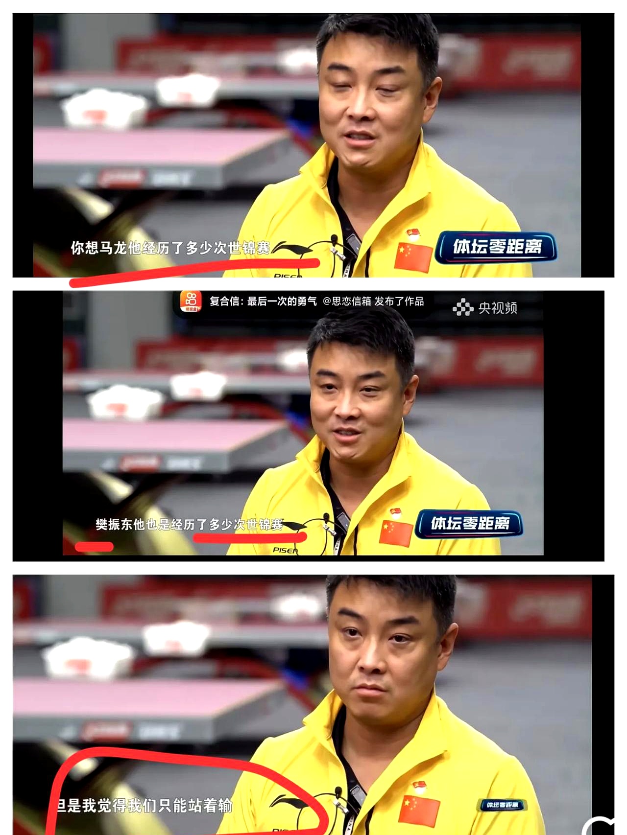 瑞典乒乓球队翻盘法国乒乓球队，王皓打破历史纪录的简单介绍