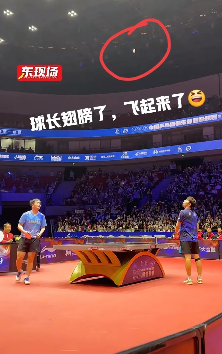 日本队绝杀波兰队，樊振东点燃赛场