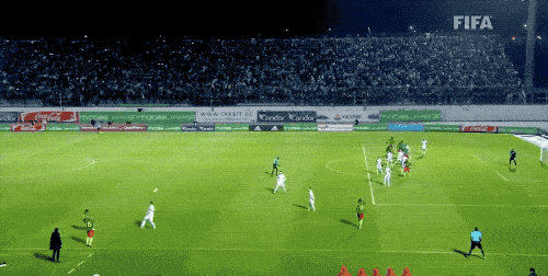 阿尔及利亚国家队连克对手，挺进下一轮