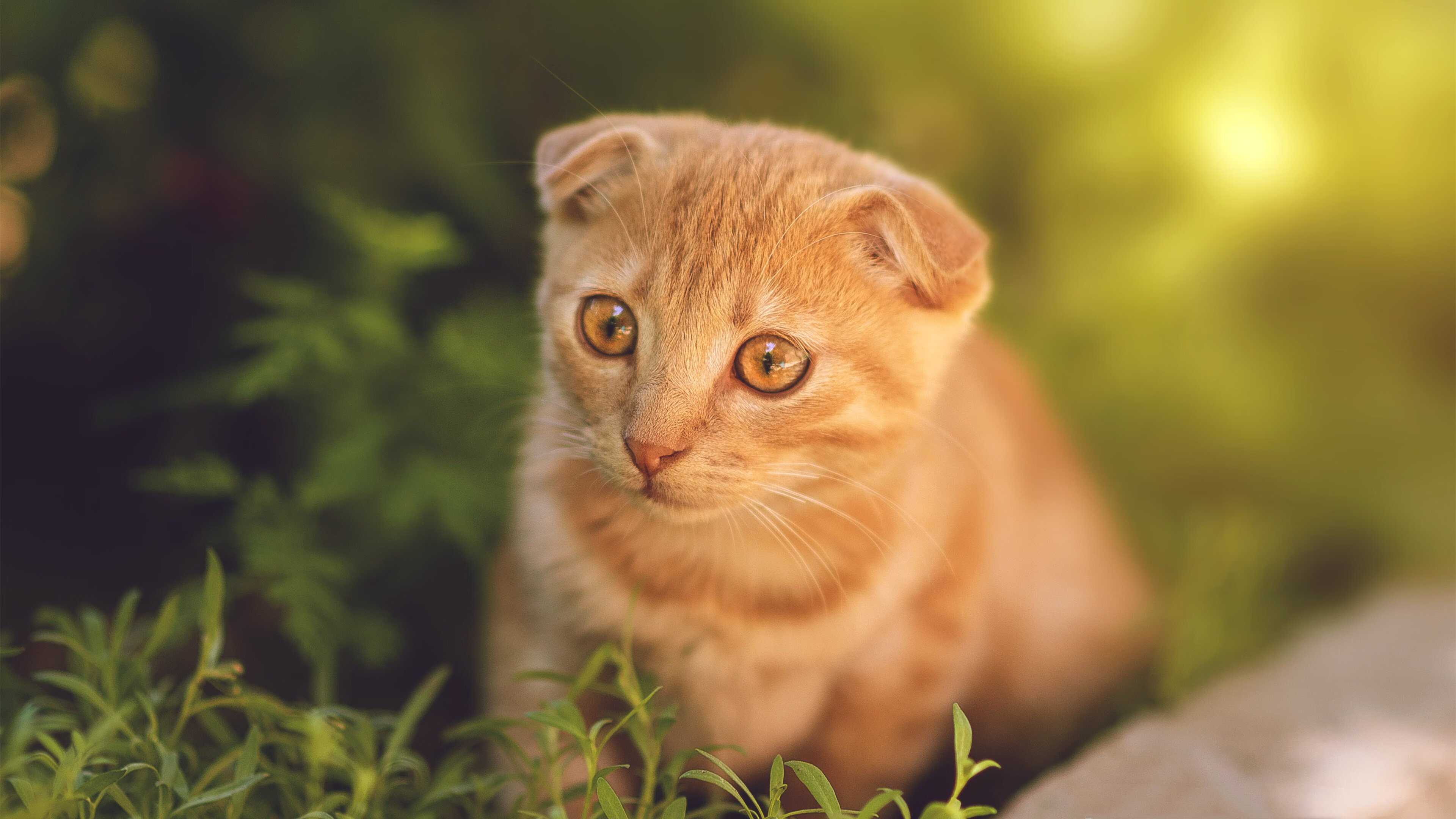逆转之夜，郭艾伦如刀锋出鞘，广东鏖战力克吉林