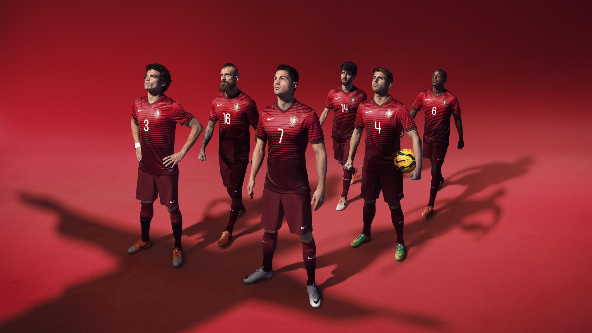 当太阳在东方升起,福克斯撕裂夜空,灼尽华南虎神话