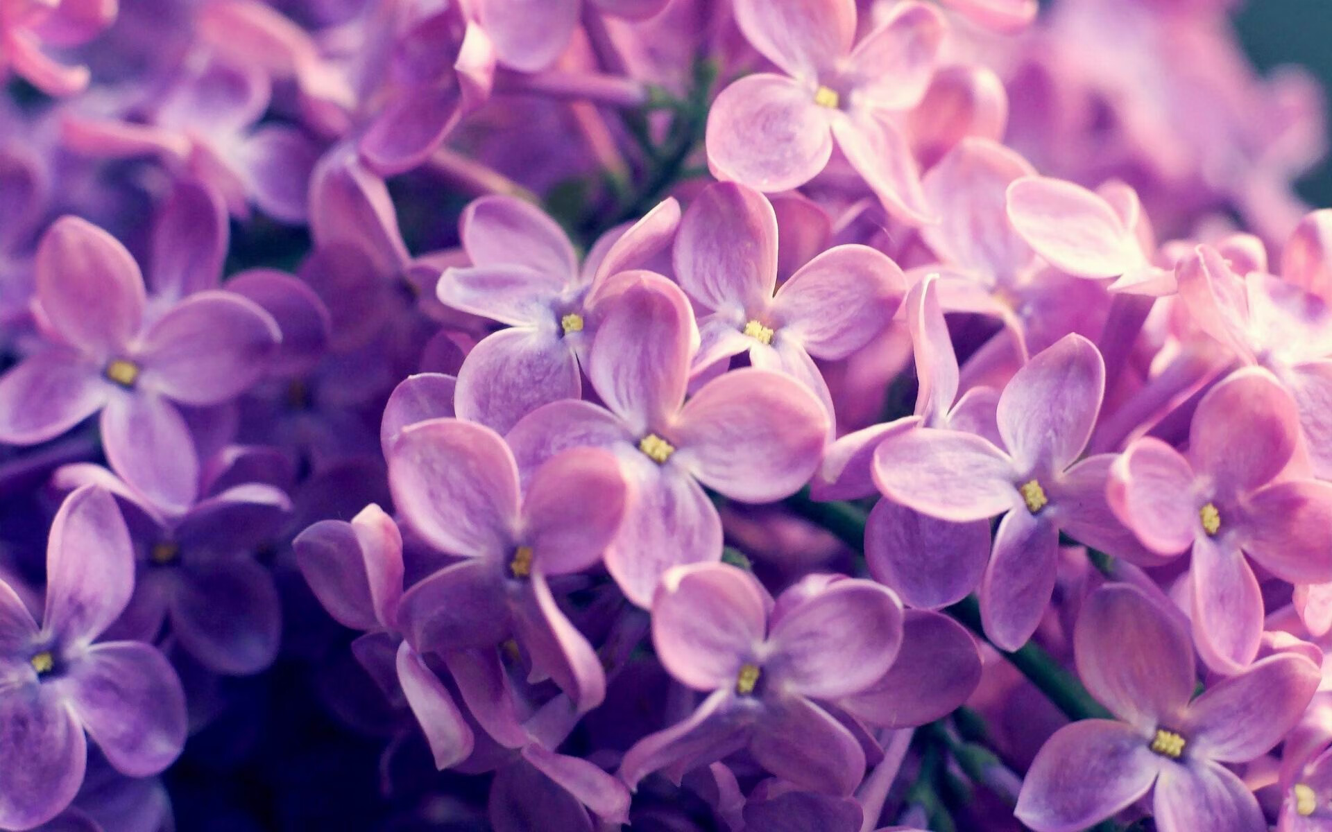 熔炉,当乒乓对垒绿茵