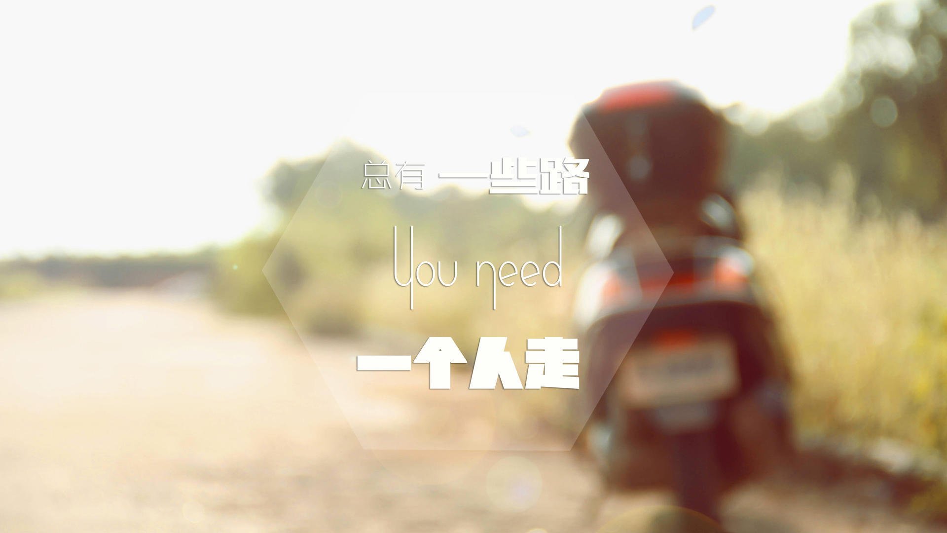 绿茵场上的北欧烈焰,帕尔默如何以一己之力点燃芬兰,瓦解爱尔兰的铜墙铁壁