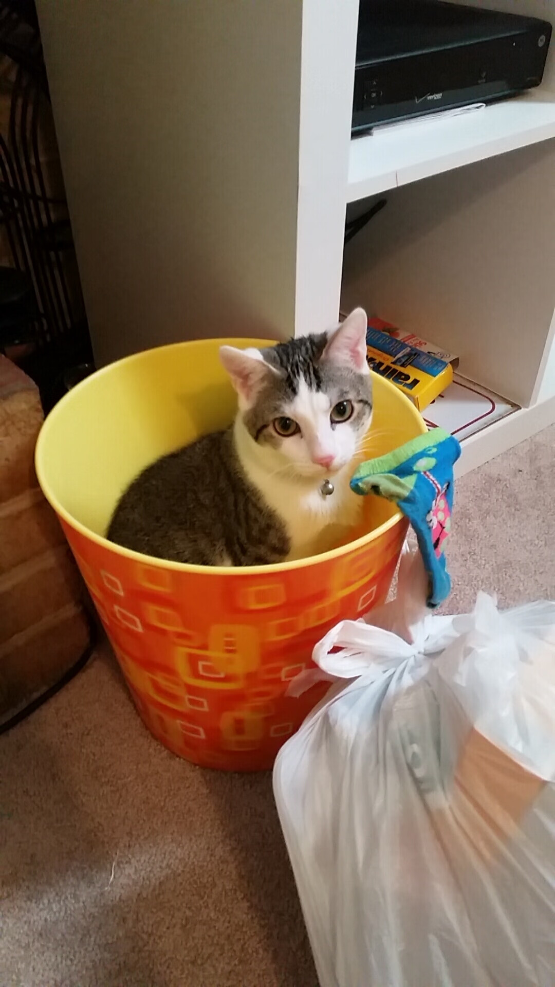 时空调转,当威尔士击败冰岛,阿圭罗在NBA总决赛接管比赛