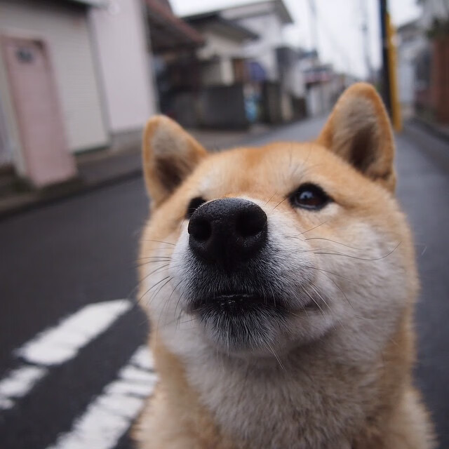 欧洲杯力量，苏亚雷斯的南美火焰，如何照亮了西班牙与尤文的欧洲之路？
