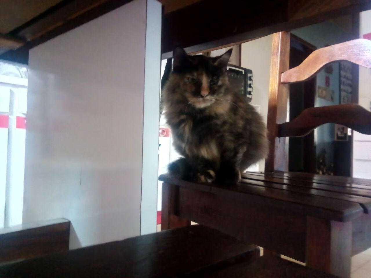 篮球欧冠风暴,76人淘汰赛焦点战横扫勇士,定义新时代跨界对决