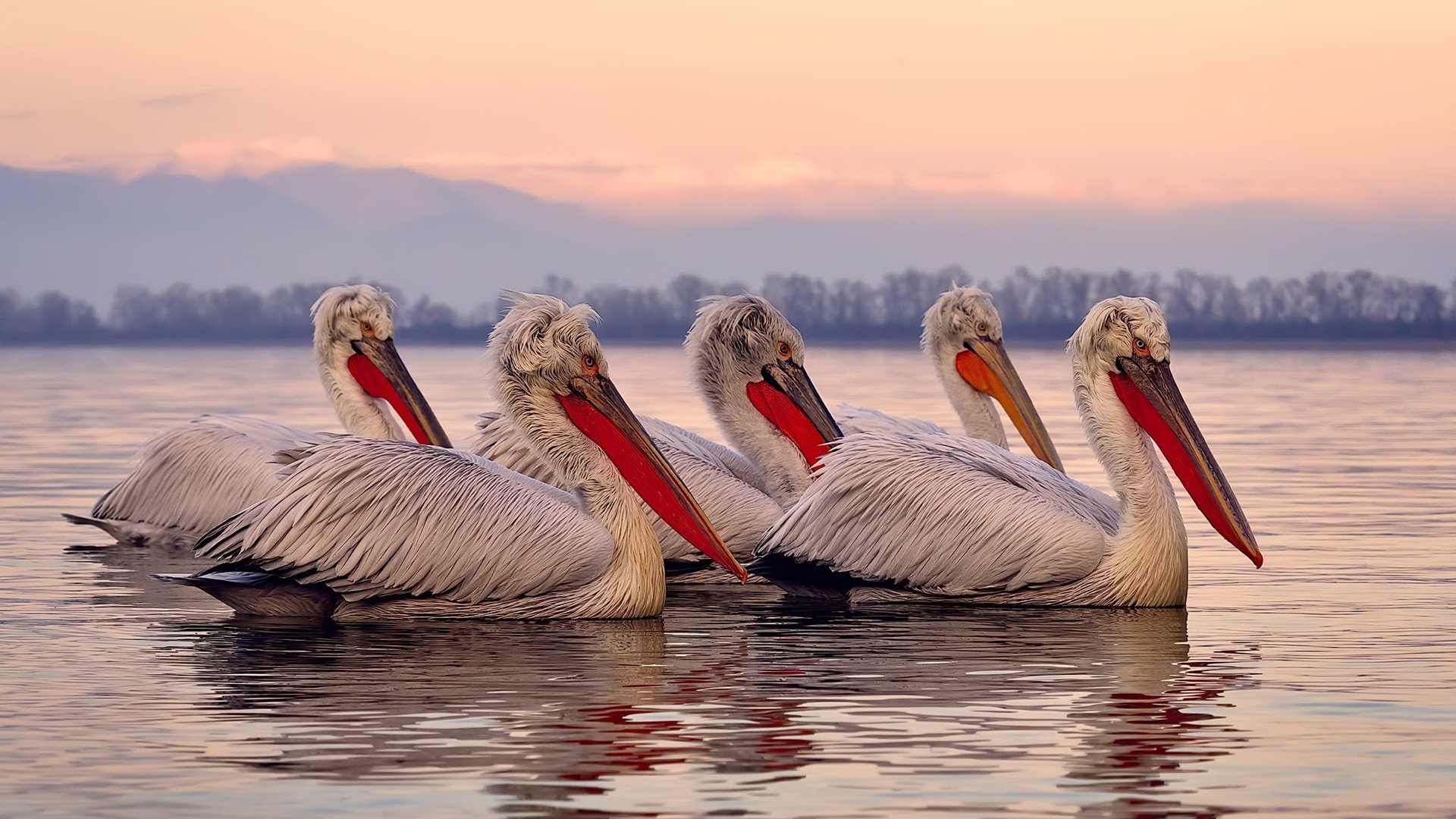 卡马文加的爆发与德国的绝杀，足球战术与心理的胜利