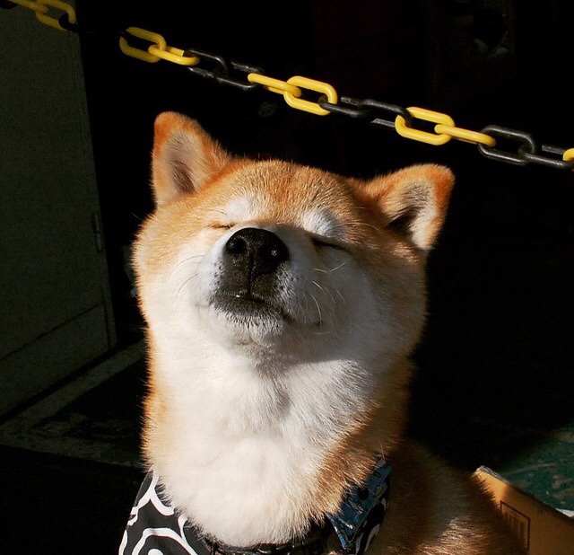 三角星火,共耀欧冠长夜