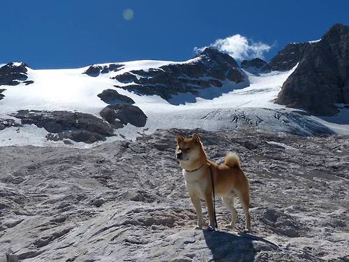 撕裂与交响，德布劳内的爆发与埃及足球的意象横扫