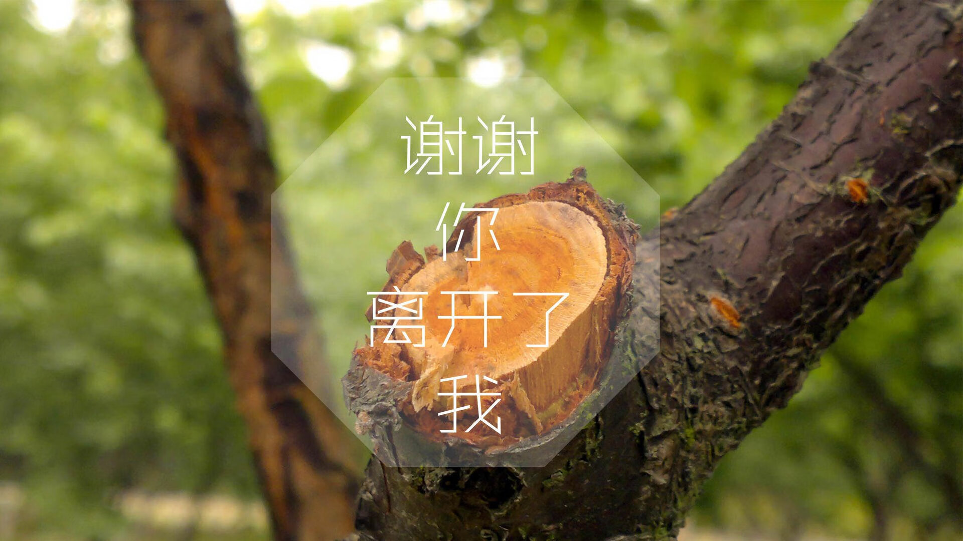 铁壁与孤星，2026世界杯B组暗战，孙兴慜一己之力撕裂喀伊战局