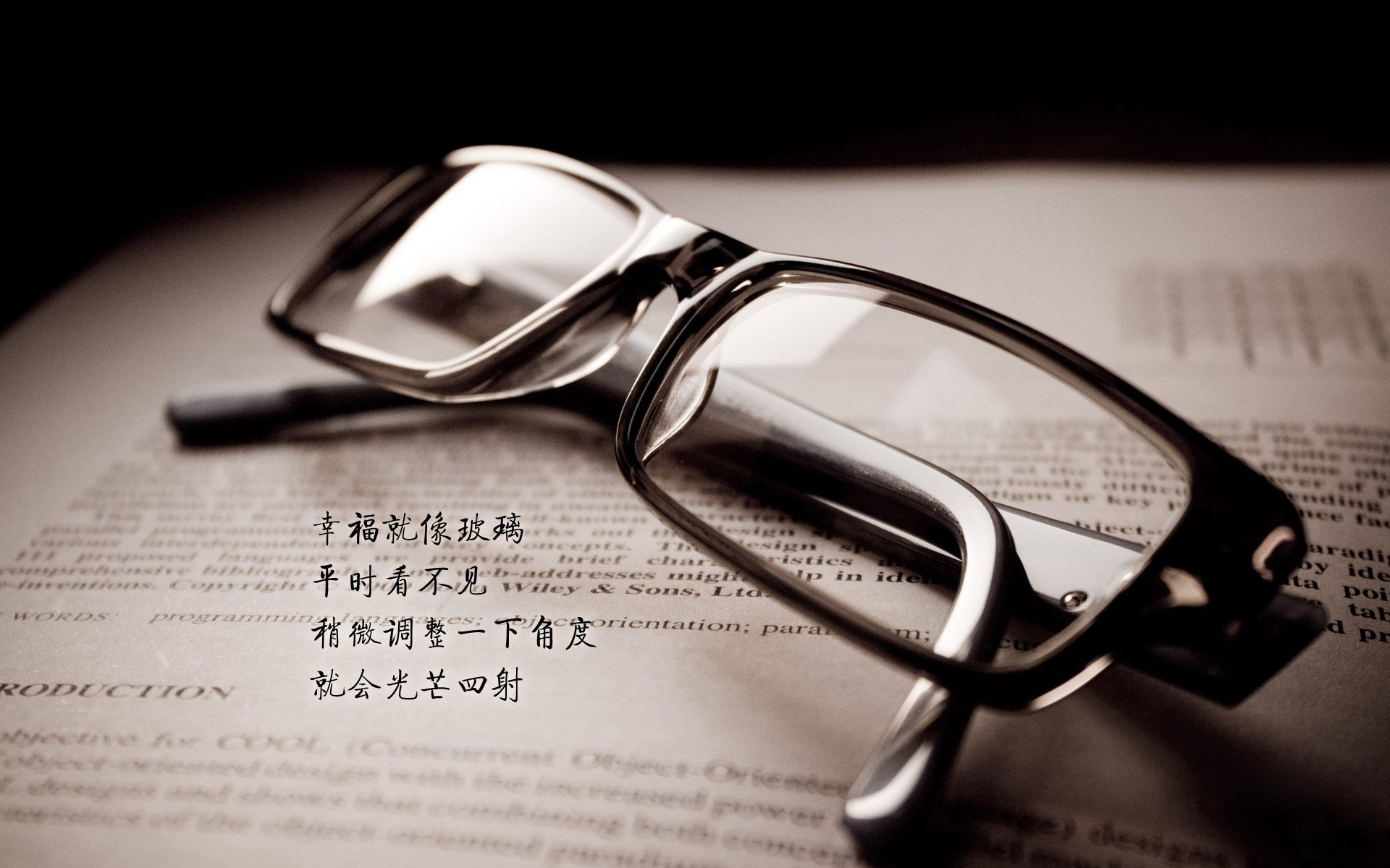 铁血的回响，2026世界杯D组关键战，费利克斯率葡萄牙险胜荷兰，一场属于意志的胜利