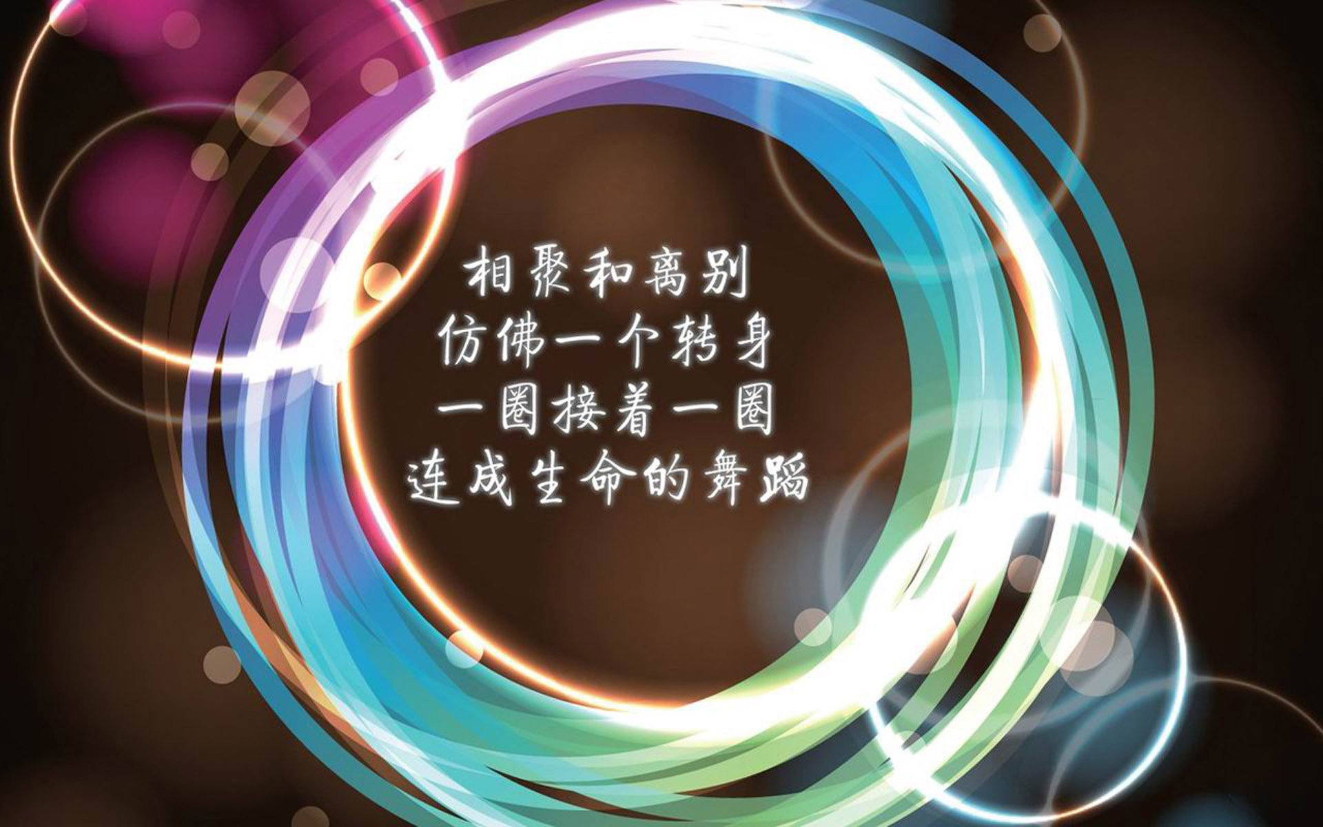赤道线上的命运博弈—2026世界杯B组生死战，厄瓜多尔vs喀麦隆，卢卡库的孤星时刻