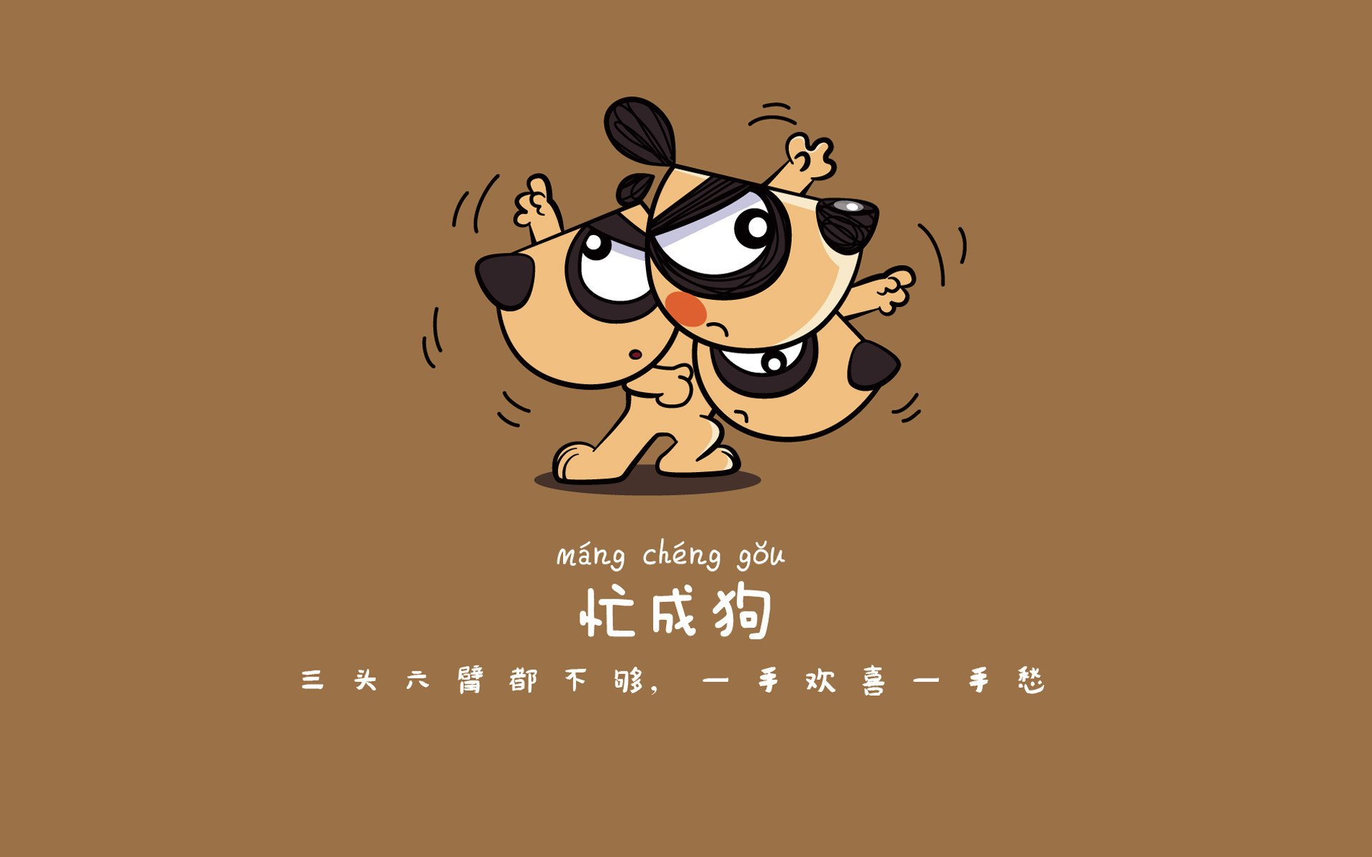 绿茵孤注,当厄瓜多尔横扫荷兰,托纳利照亮世界杯唯一性时刻